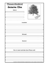 Pflanzensteckbrief-gem-Eibe-SW.pdf